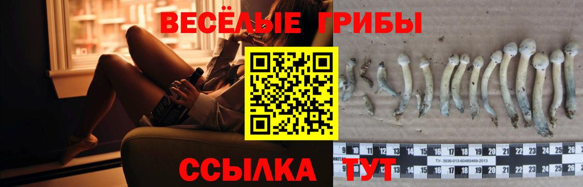 Псилоцибиновые грибы мухоморы Партизанск
