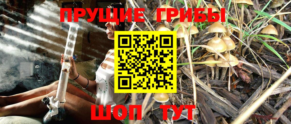 Партизанск  Галлюциногенные грибы MAGIC MUSHROOMS  Вход с VPN 